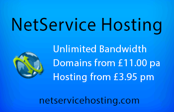Hosting and Domain Name Services